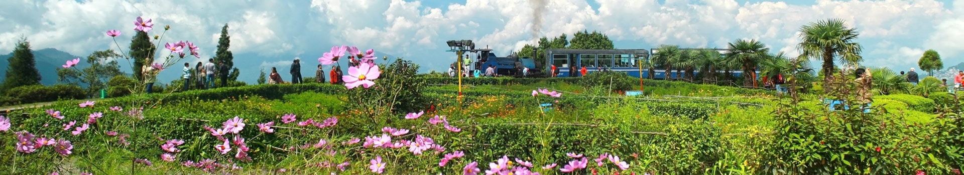 Welcome To Sikkim And Darjeeling