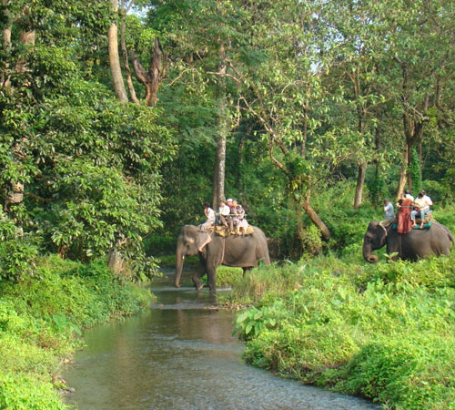 Dooars - Gorumara & Jaldapara Tour