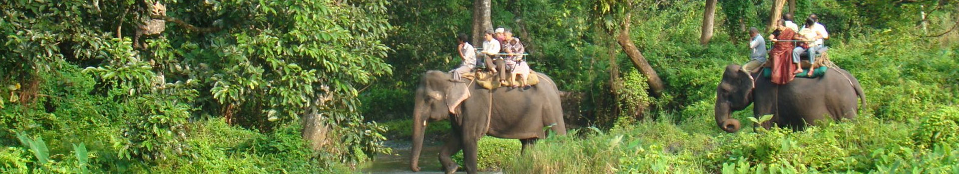 Dooars - Gorumara & Jaldapara Tour