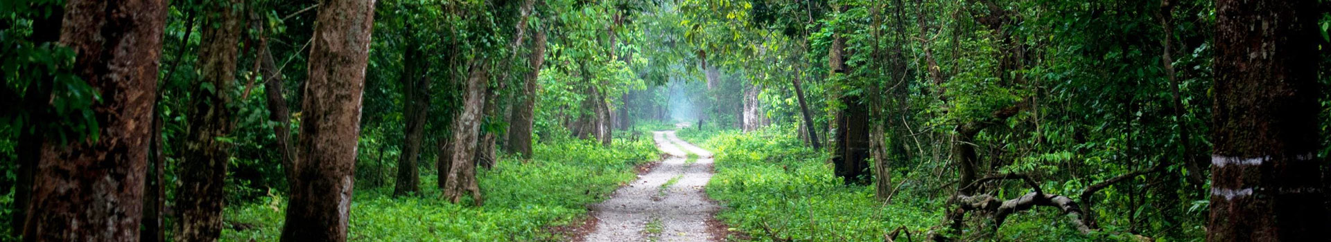 Dooars, Jaldapara Tour