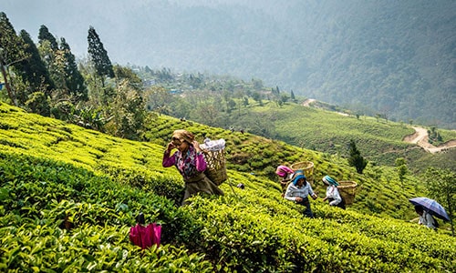 Gaurav Tour & Travels