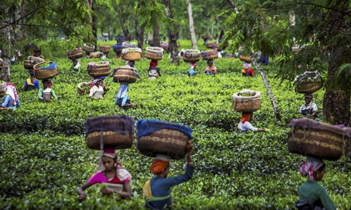 Gaurav Tour & Travels