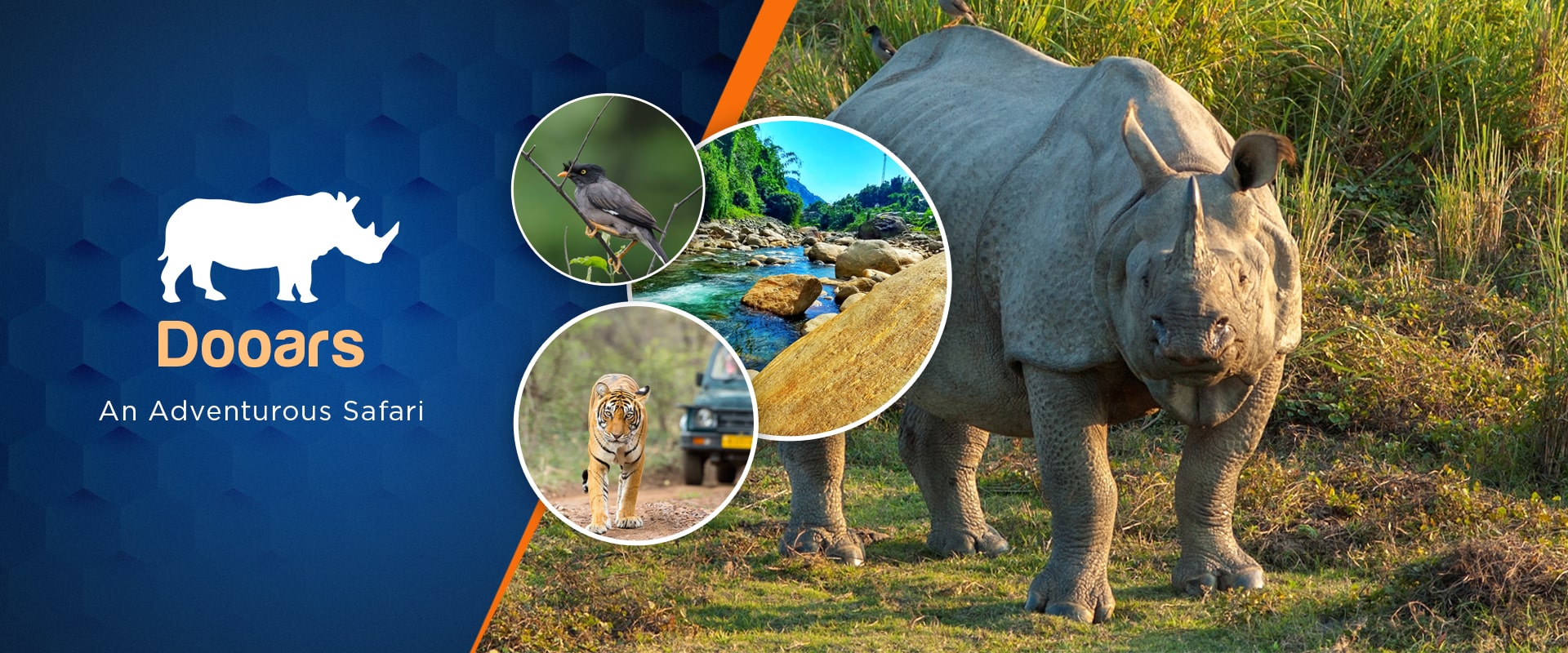 Gaurav Tour & Travels